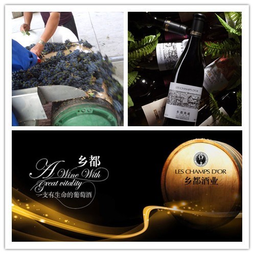 齒輥破碎機(jī)