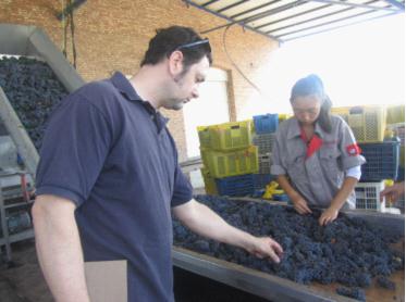 齒輥破碎機(jī)